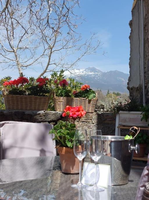 Villa Segreta, Mount Etna Belpasso Eksteriør bilde